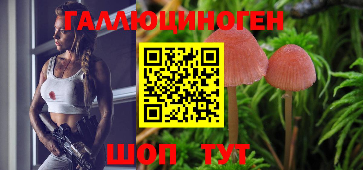 дарнет шоп  Галлюциногенные грибы Psilocybine cubensis  Вход с VPN  Ростов-на-Дону 
