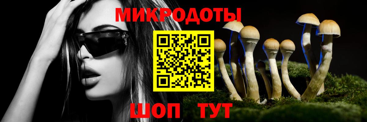 Псилоцибиновые грибы мицелий Ростов-на-Дону